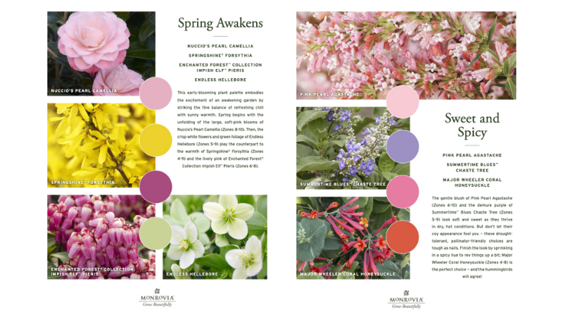 This spring, color is in season, and Monrovia is planting the seeds for gardeners to create stunning designs with its "Shades of Beautiful" downloadable guide.