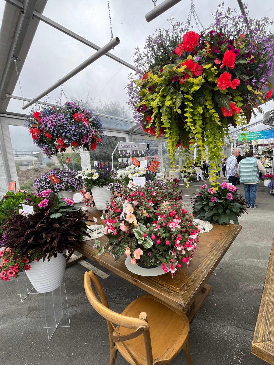 Inspiration was on the menu at Dümmen Orange, where a tablescape featured mixes containing new varieties.