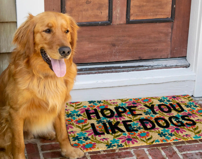 Natural Life_Bungalow Doormat - Hope You Like Dogs