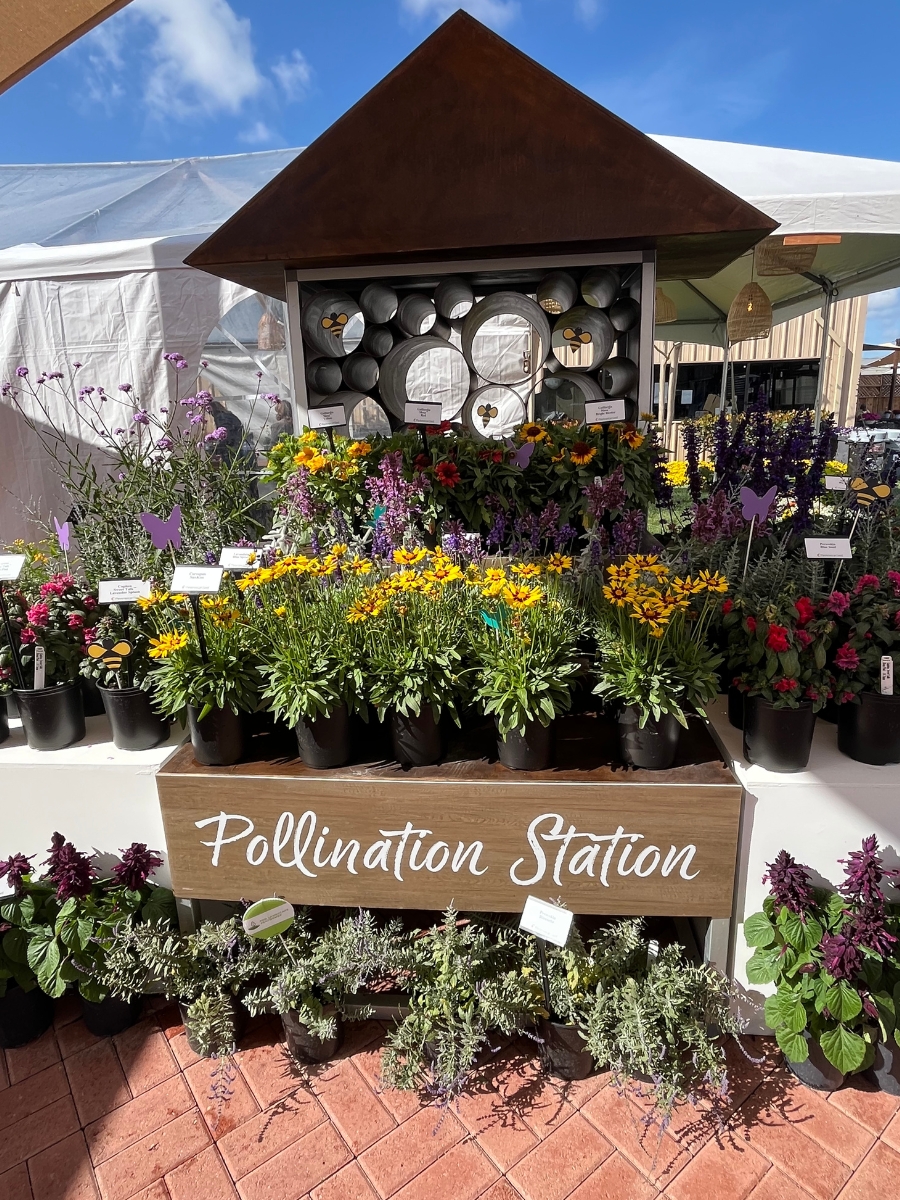 The bees and hummingbirds were buzzing at PanAmerican Seed’s Pollination Station.