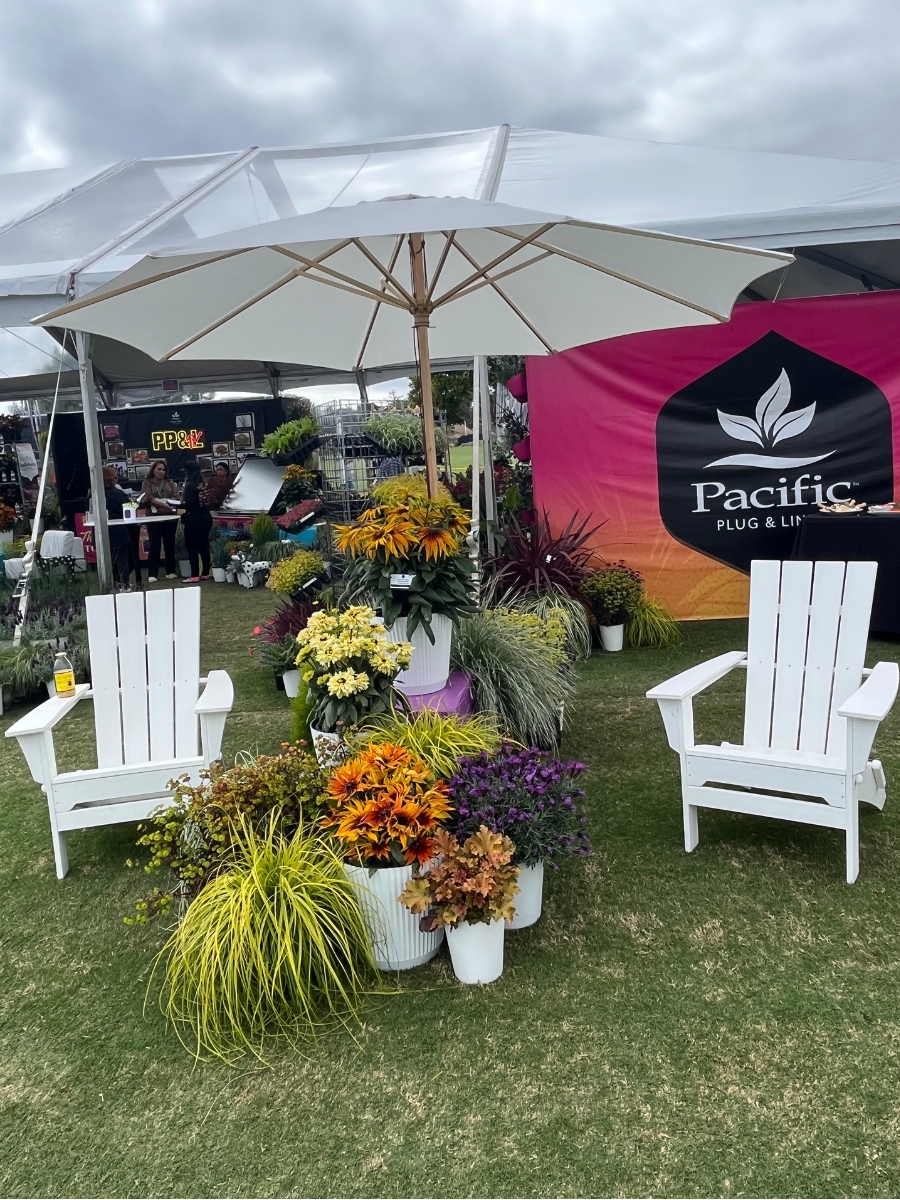 Attendees could take a load off at the many seating areas Pacific Plug & Liner set up at the Santa Barbara Polo Club.