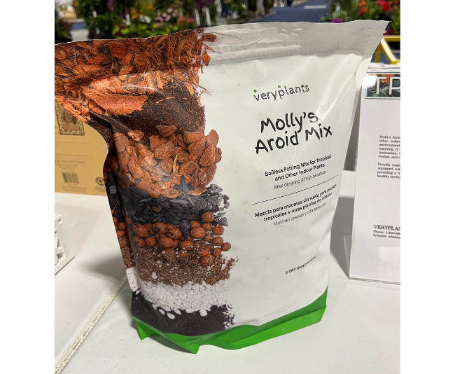 veryplants_Molly's Aroid Mix