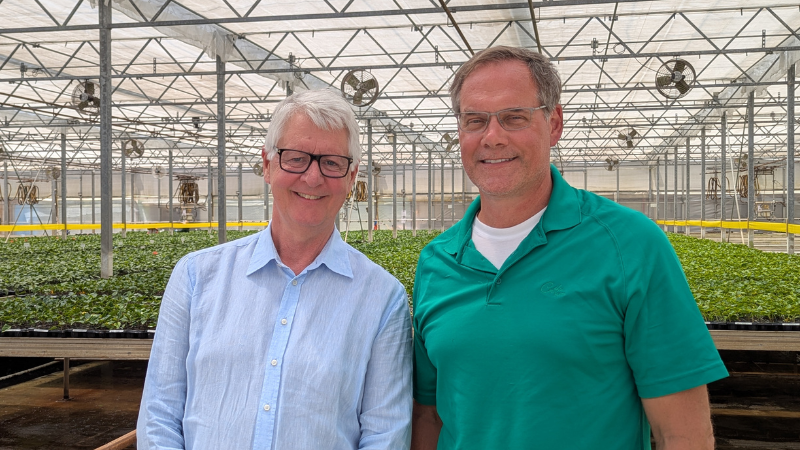 Costa Farms has expanded its BloomSelect line of hibiscus for the 2025 season, aiming to drive sell-through and elevate the outdoor plant offering at garden centers and nurseries.