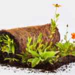 Meadow Lab debuts Wildflower Sod as alternative to turfgrass