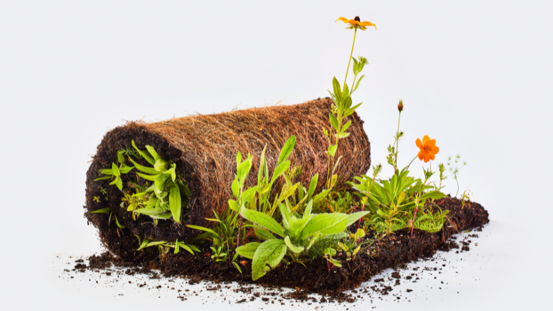 Meadow Lab debuts Wildflower Sod as alternative to turfgrass