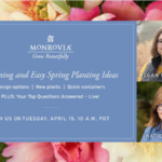 Monrovia schedules webinar on spring planting ideas