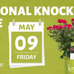 National Knock Out Rose Day is May 9