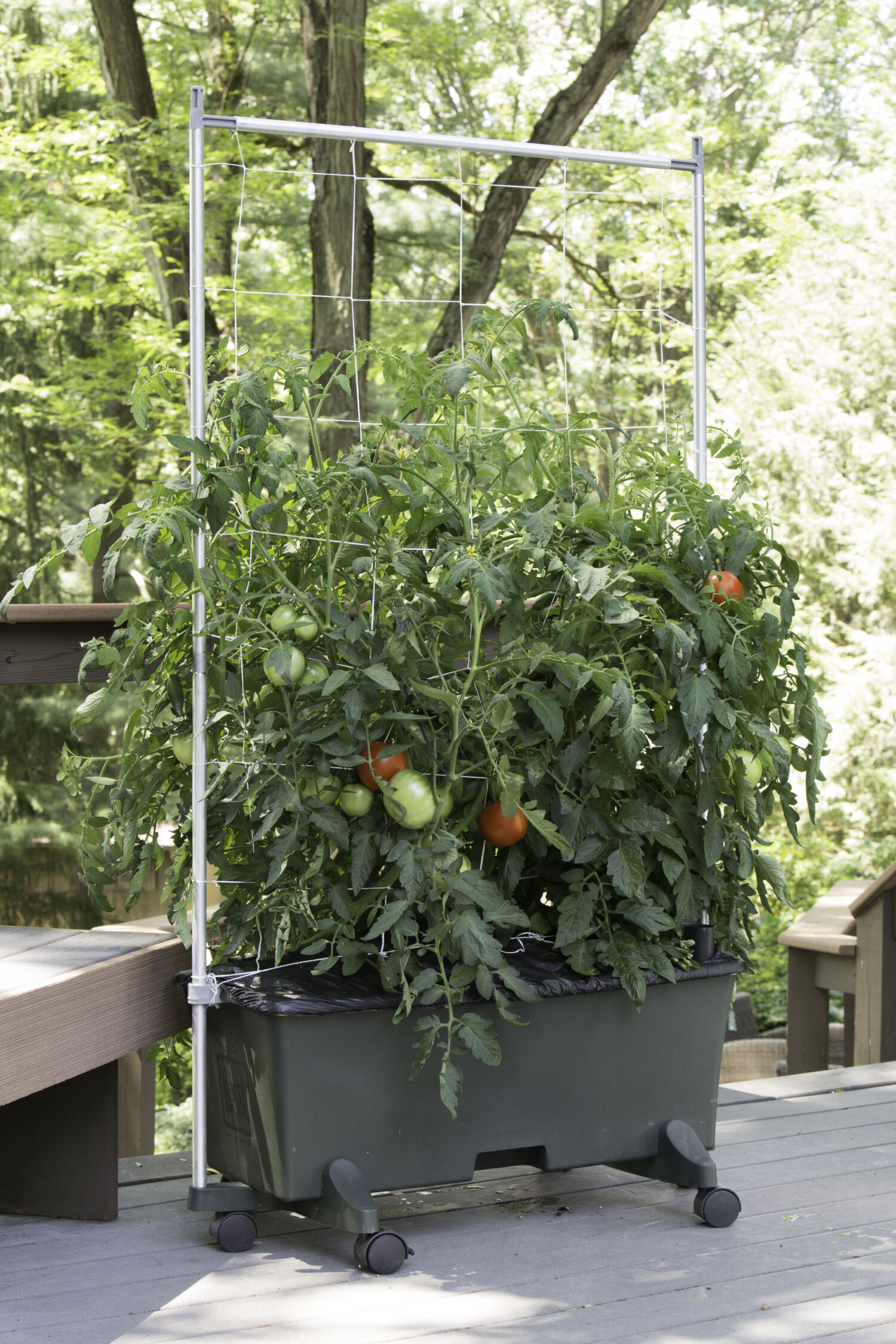 EarthBox Garden Kit is a self-watering growing system that uses less water and fertilizer, and can grow plants indoors and outdoors. Photo courtesy of Novelty Manufacturing.