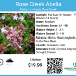 Plant care goes high-tech