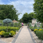 Wide, paved aisles at K & W Greenery in Janesville, Wisconsin, allow for easy maneuvering with a cart.