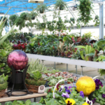 Bremec Garden Center boasts a vast indoor plant area, complete with succulents, tropicals and other houseplants and accessories.