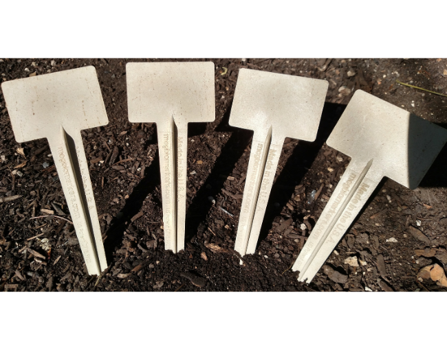 MCG BioMarkers_Plant Markers