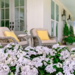 'Blast from the Pastel' Credit Southern Living Plant Collection and Sunset Plant Collection