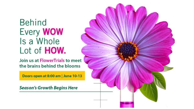 Danziger to bring new varieties, expert insights to FlowerTrials 2025