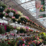 English Gardens store in Plymouth/Ann Arbor, Michigan
