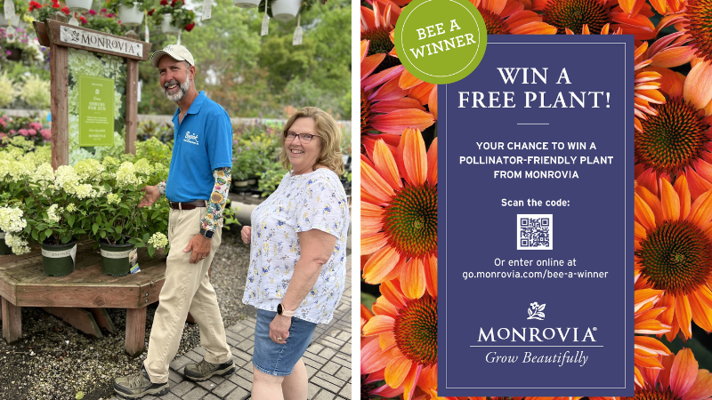 Monrovia announces Bee a Winner grand prize giveaway