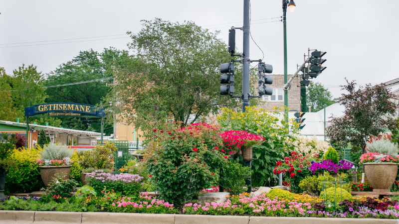 Gethsemane Garden Center: 2025 Innovators of the Year