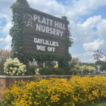 Platt Hill Nursery: 2025 Innovators of the Year