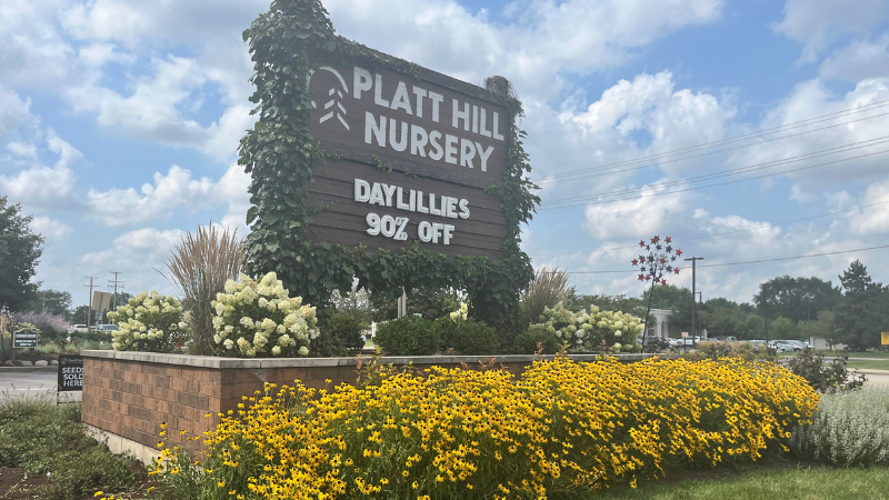 Platt Hill Nursery: 2025 Innovators of the Year