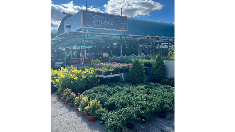 Ruibal’s Plants of Texas: 2025 Innovators of the Year