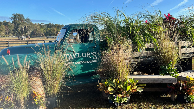 Taylor's Landscape Supply and Nursery: 2025 Innovators of the Year