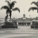 As Monrovia Nursery Co. prepares to celebrate its 100th birthday in 2026, it’s demonstrating how a legacy of craftsmanship can power growth and innovation for the future