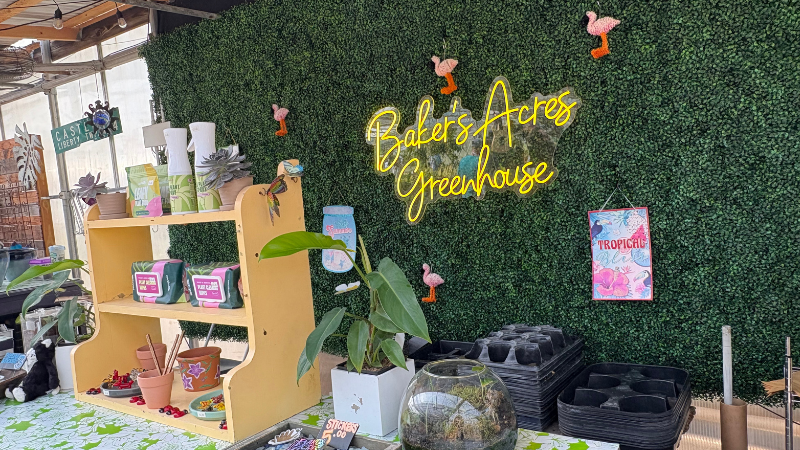 The cash wrap at Baker’s Acres Greenhouse includes grab-and-go items like stickers featuring Thelma, one of the on-site cats.