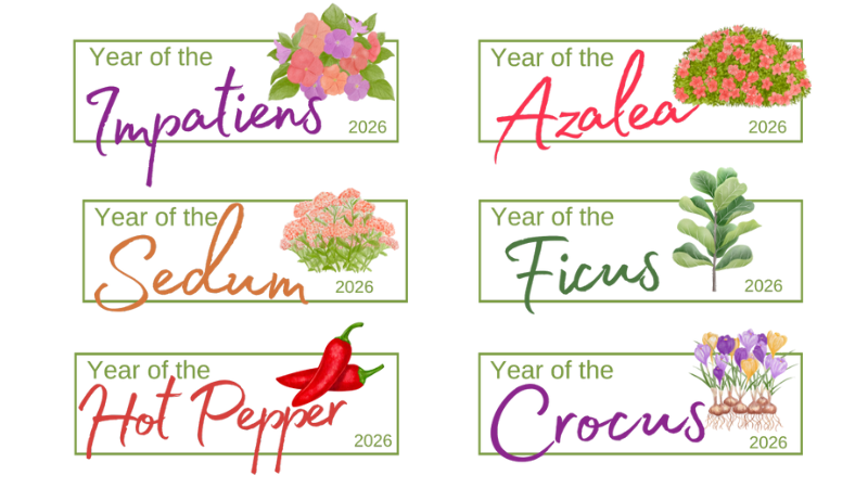 NGB announces 2026 "Year of the" genera