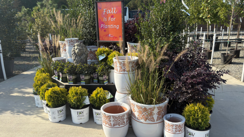 The 2025 Garden Center Group Fall tour stop DeWayne’s located in Selma, NC