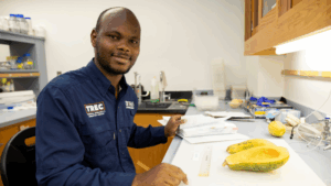 Geoffrey Meru, an associate professor of vegetable breeding, genetics and genomics at the UF/IFAS Tropical Research and Education Center, studies vegetables and squash in his lab. Photo courtesy of Tyler Jones, UF/IFAS photography.