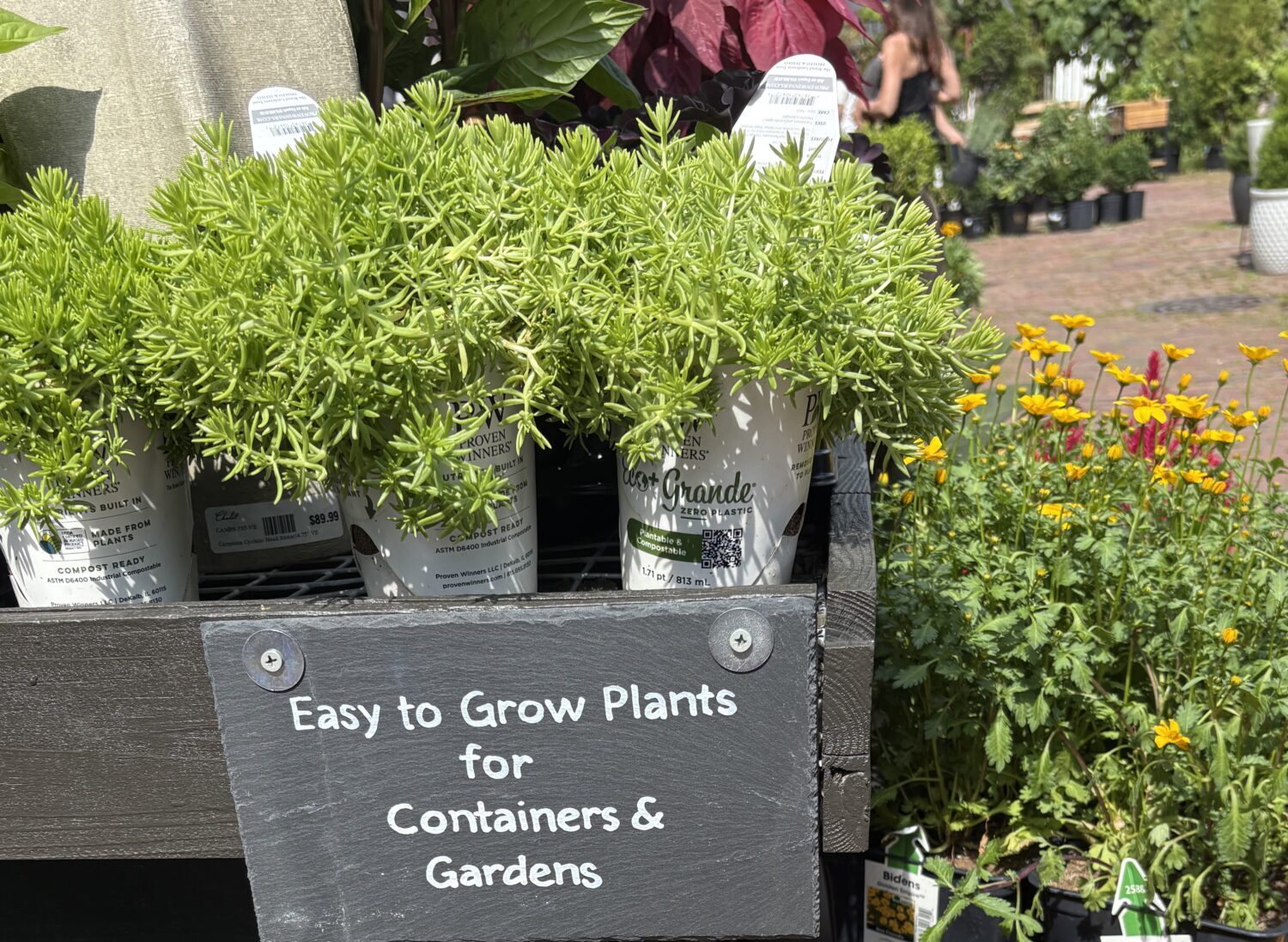 Chalet at Jayson Home Chicago Easy grow plants