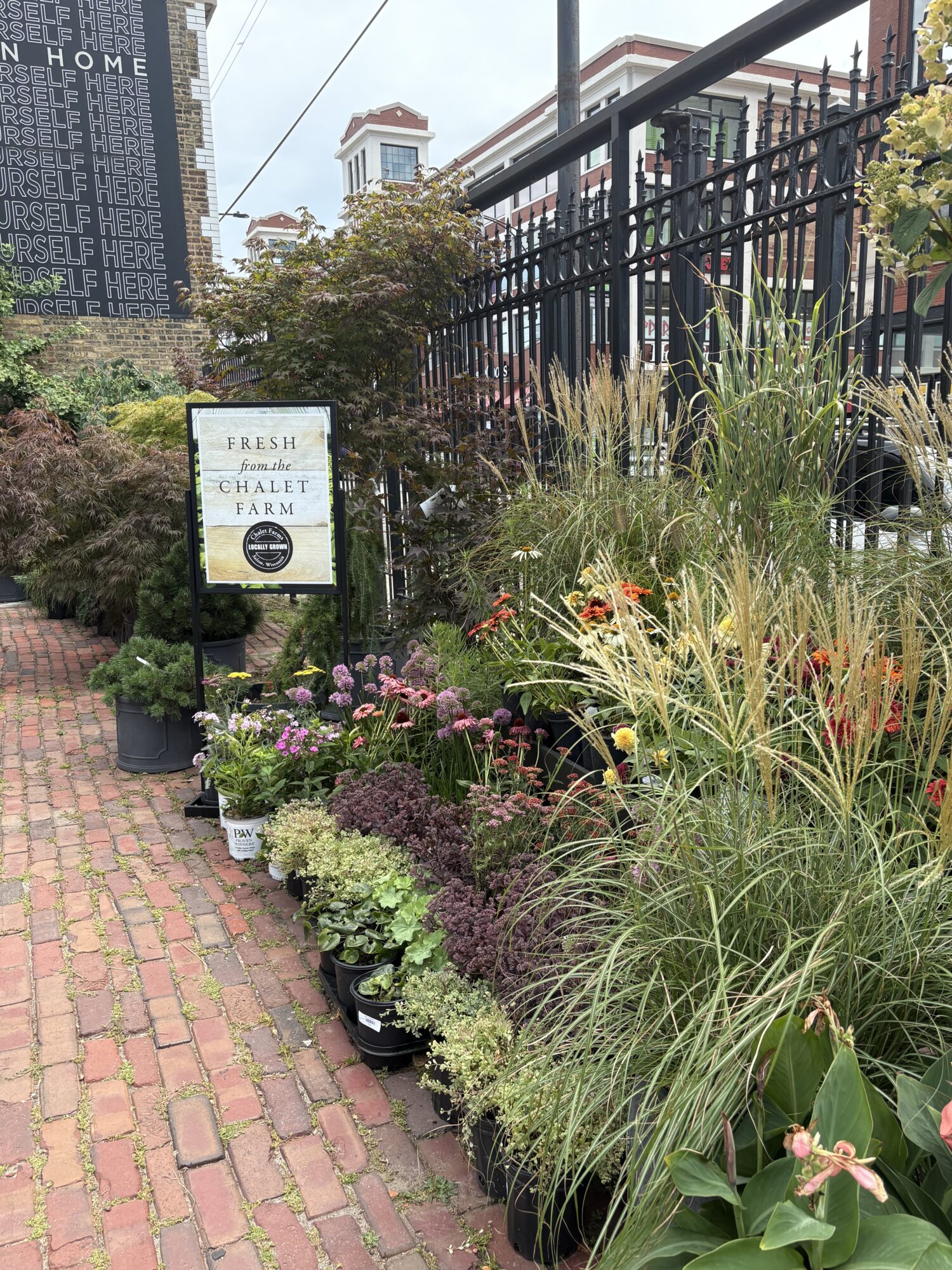 Chalet at Jayson Home Chicago plants