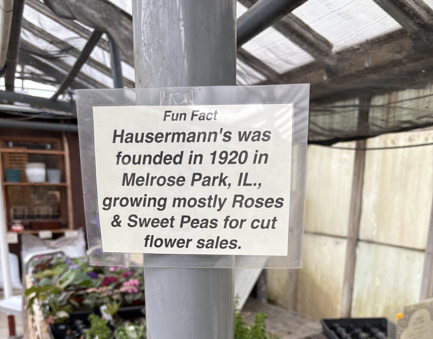 Orchids by Hausermann orchid fun fact