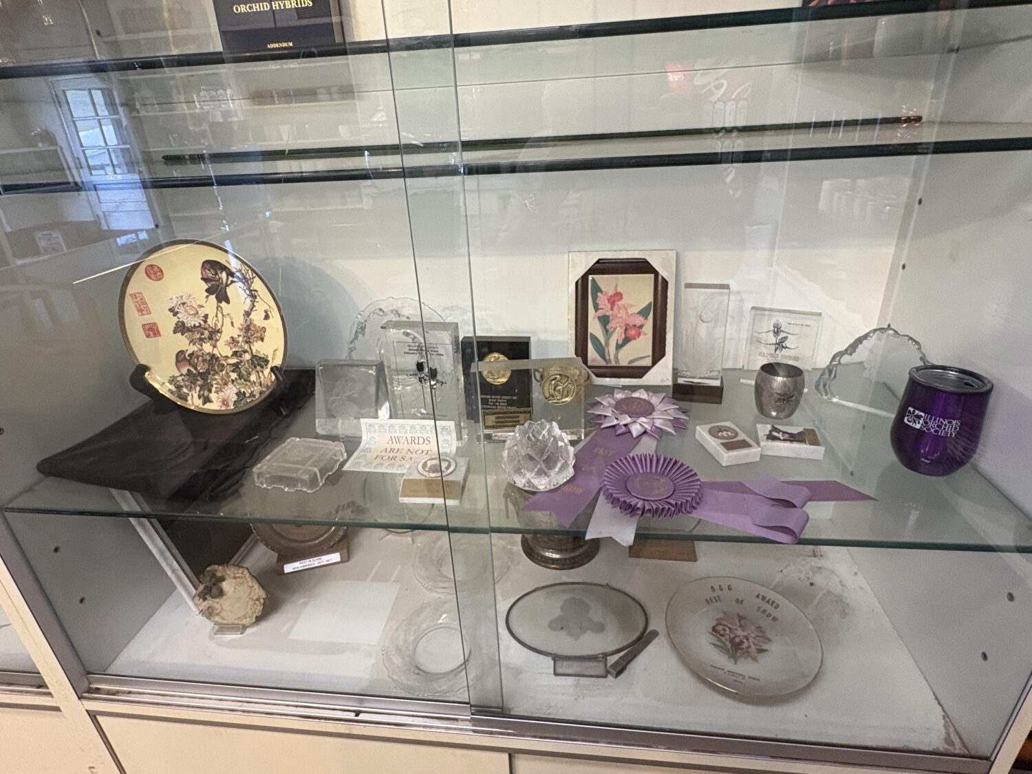 Orchids by Hausermann showcase