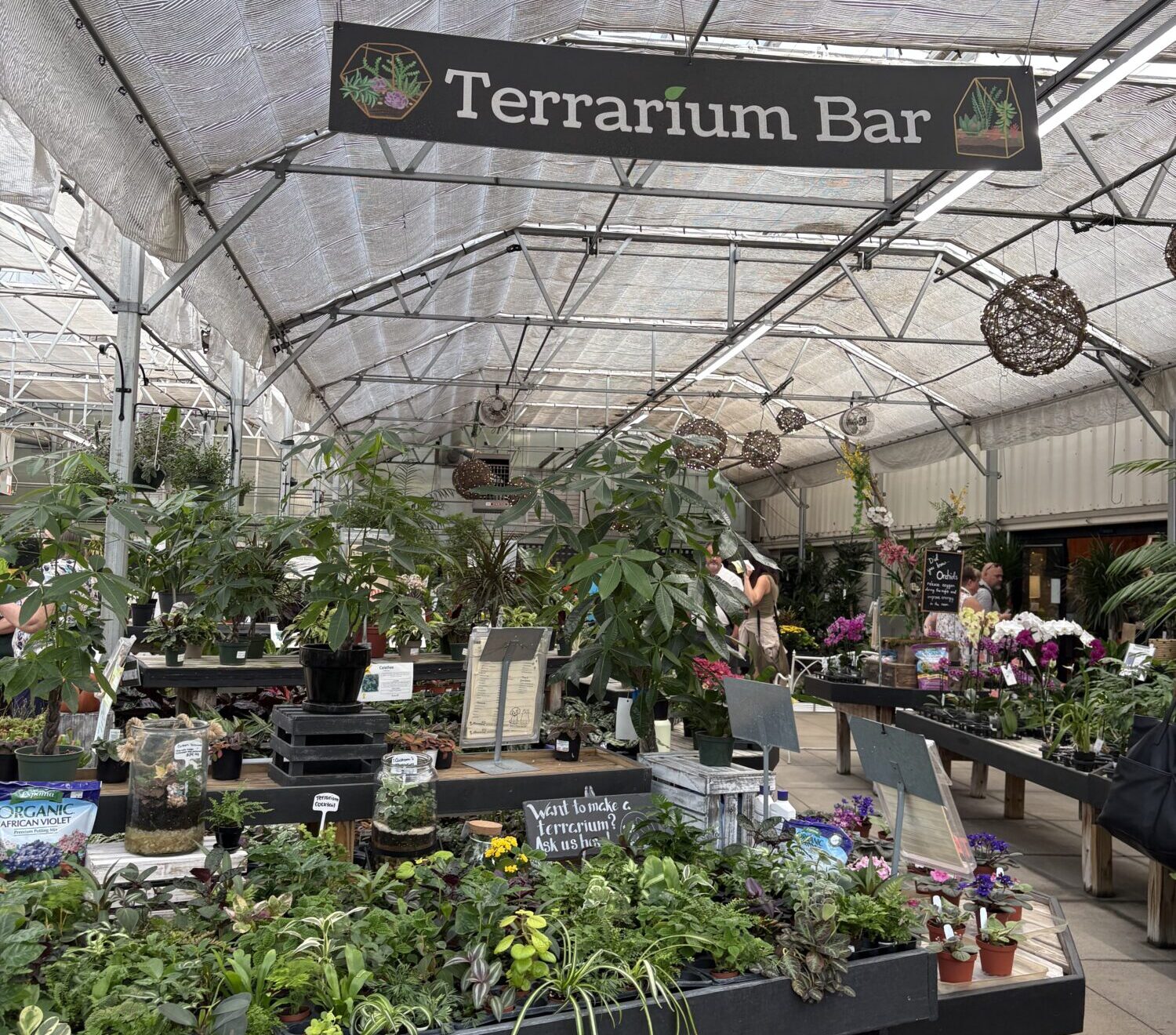 Small but Mighty_Homewood Nursery & Garden Center