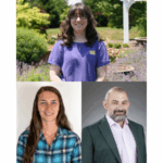 Star Roses and Plants restructures woody ornamentals team