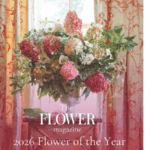 Fire Light hydrangea named 2026 Flower of the Year