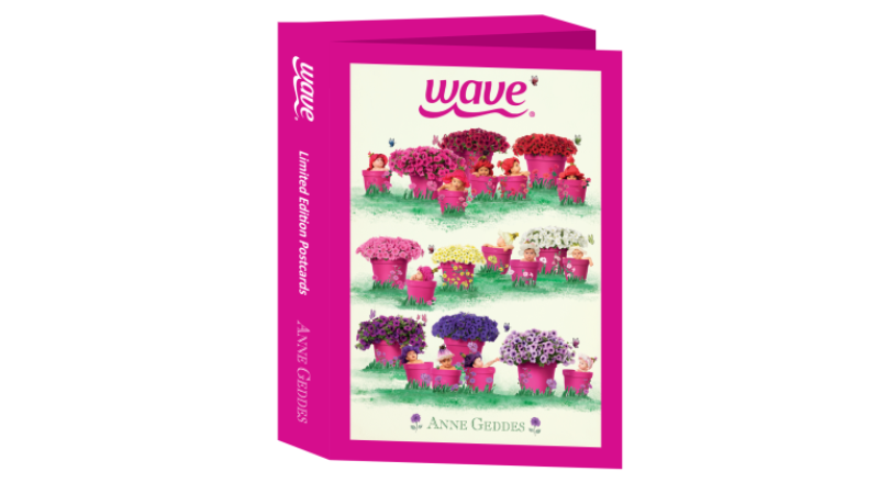 Wave brand partners with Anne Geddes for postcard collection