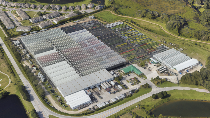 Knox Horticulture joins ThinkPlants network