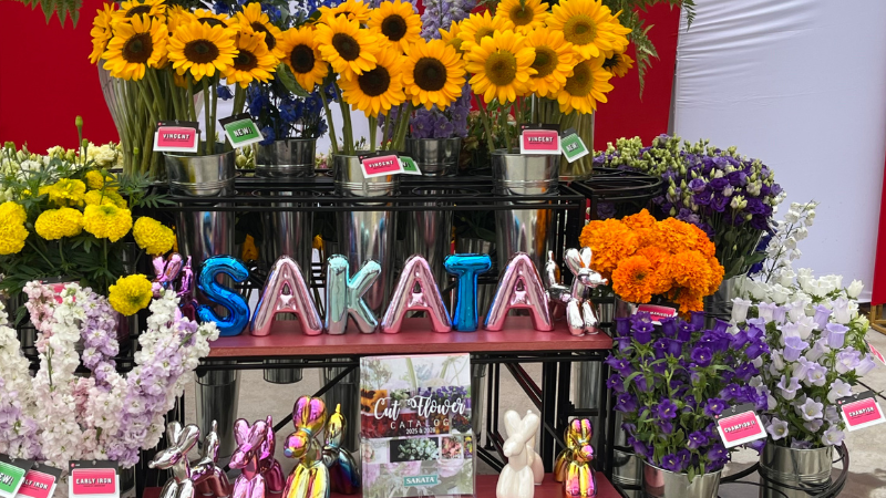 Sakata Seed America makes leadership change