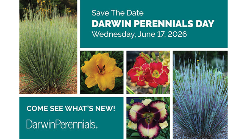 Save the date for Darwin Perennials Day for June 17, 2026
