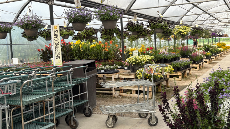 garden retail stock kicker Wilson's carts plants on benches