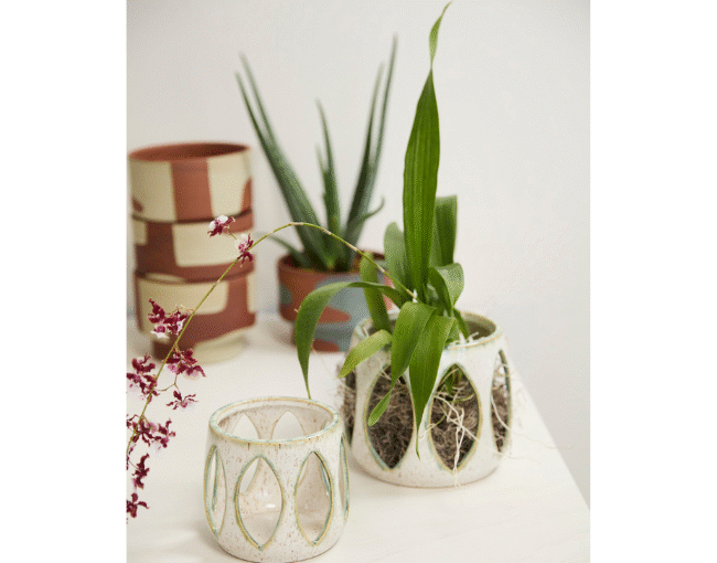 Accent Decor_Minka Orchid Pot