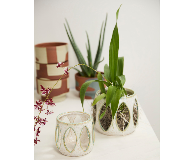 Accent Decor_Minka Orchid Pot