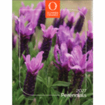 Dümmen Orange releases 2027 perennials catalog