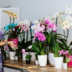 Flora & More Expands Members-Only Wholesale Orchid Market to Houston