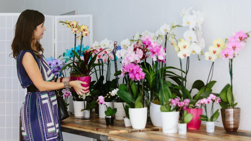 Flora & More Expands Members-Only Wholesale Orchid Market to Houston