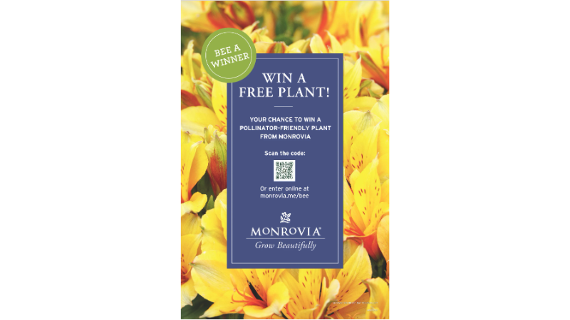 Monrovia's Bee a Winner program enrollment deadline approaching