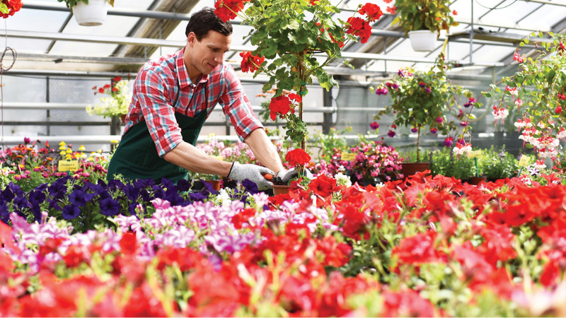 Pohmer On kicker What independent garden center leaders can do when staff leave the company