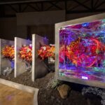 Arrange, LLC - 'My Atomic Number' - Credit Peter B Blaikie Large